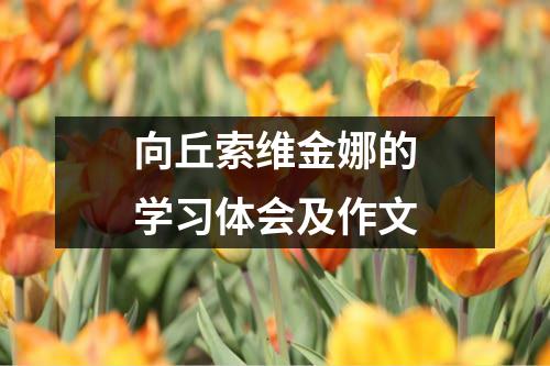 向丘索维金娜的学习体会及作文