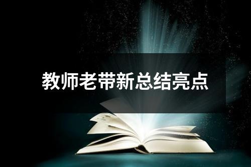 教师老带新总结亮点