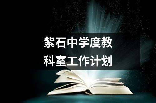 紫石中学度教科室工作计划