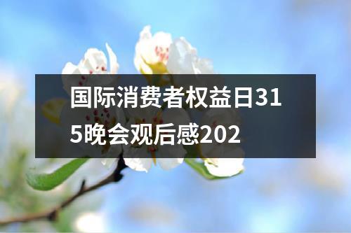 国际消费者权益日315晚会观后感202