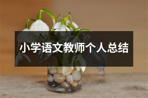 小学语文教师个人总结