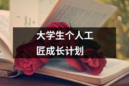 大学生个人工匠成长计划