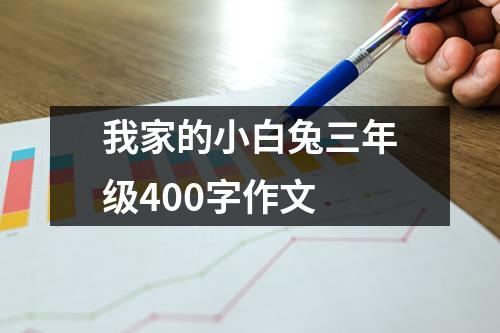 我家的小白兔三年级400字作文