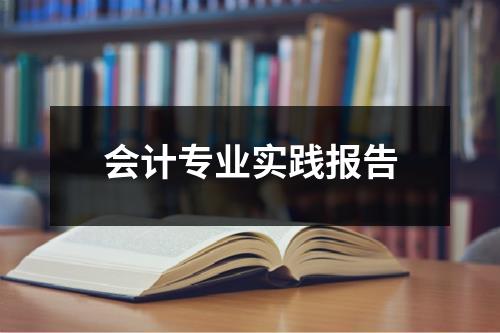 会计专业实践报告