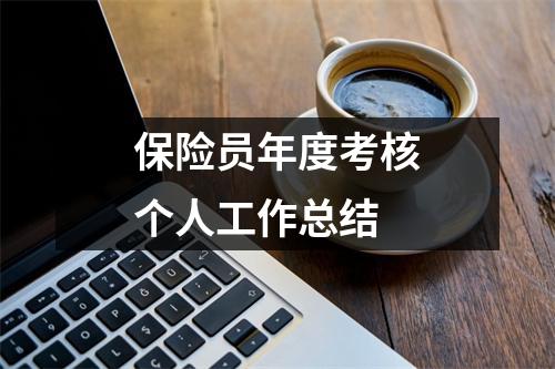 保险员年度考核个人工作总结