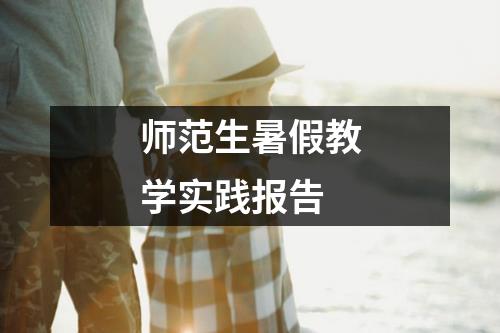 师范生暑假教学实践报告