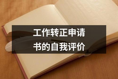 工作转正申请书的自我评价