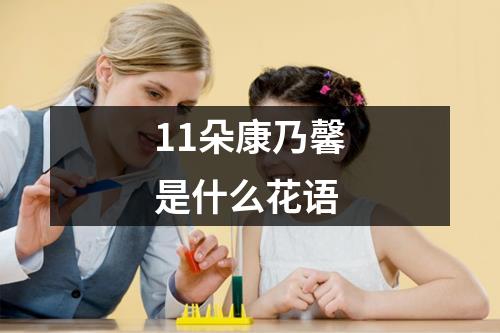 11朵康乃馨是什么花语