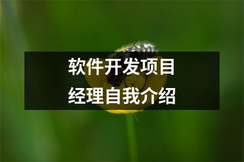 软件开发项目经理自我介绍