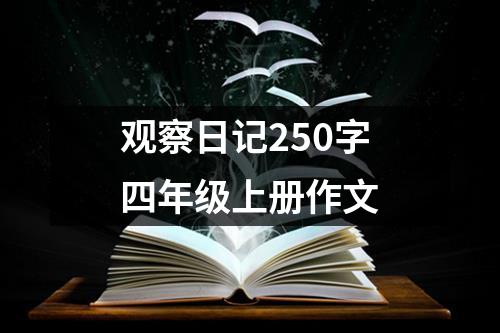 观察日记250字四年级上册作文