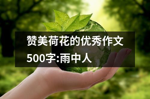 赞美荷花的优秀作文500字:雨中人