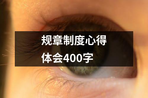 规章制度心得体会400字