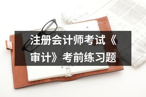 注册会计师考试《审计》考前练习题