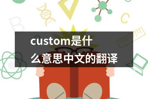 custom是什么意思中文的翻译