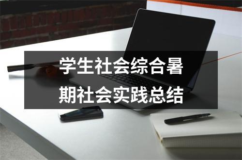 学生社会综合暑期社会实践总结