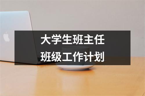 大学生班主任班级工作计划