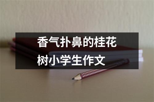 香气扑鼻的桂花树小学生作文