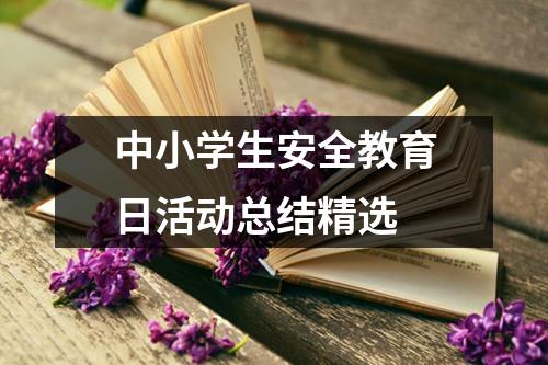 中小学生安全教育日活动总结精选