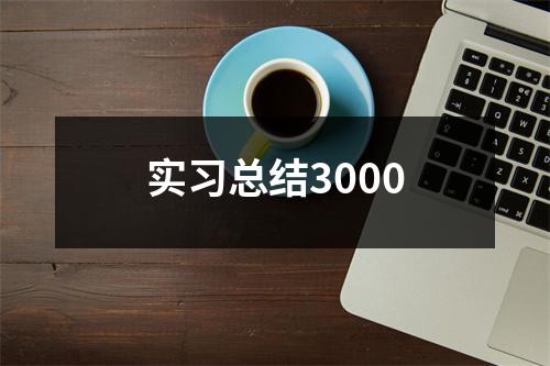 实习总结3000