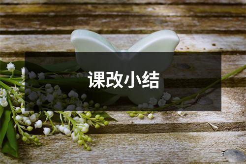 课改小结