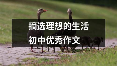 摘选理想的生活初中优秀作文