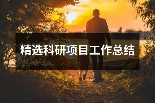 精选科研项目工作总结