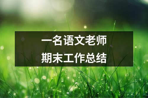 一名语文老师期末工作总结