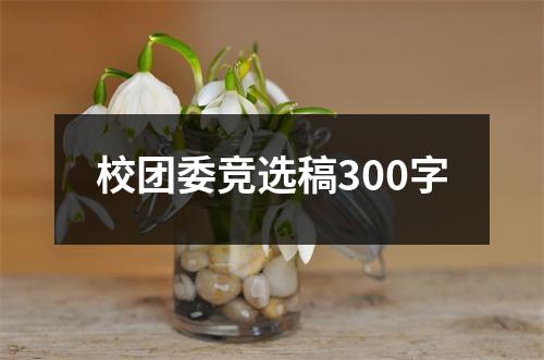 校团委竞选稿300字