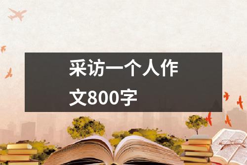 采访一个人作文800字