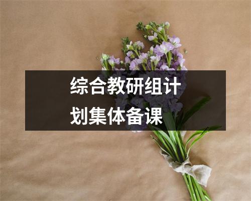 综合教研组计划集体备课