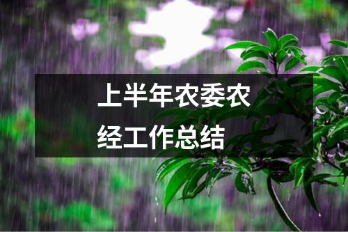 上半年农委农经工作总结