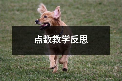 点数教学反思