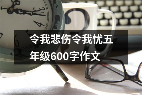 令我悲伤令我忧五年级600字作文