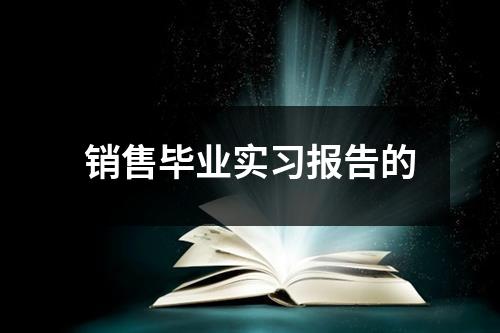 销售毕业实习报告的