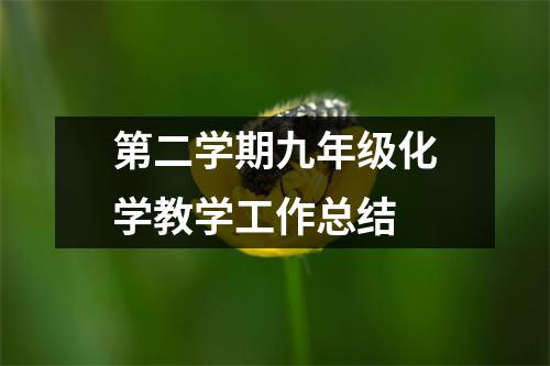 第二学期九年级化学教学工作总结