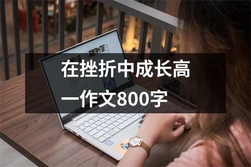 在挫折中成长高一作文800字