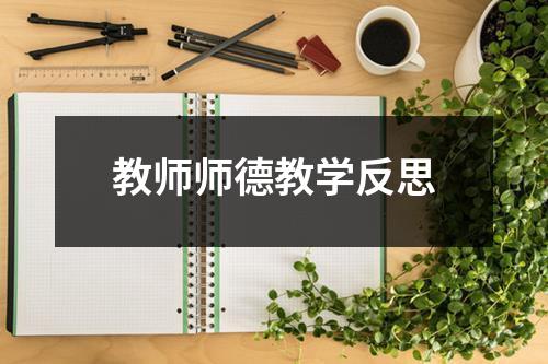 教师师德教学反思