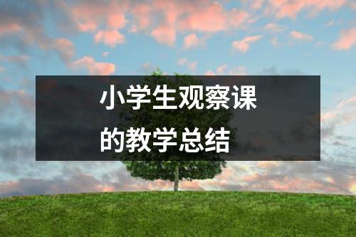 小学生观察课的教学总结