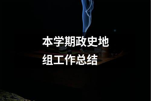 本学期政史地组工作总结