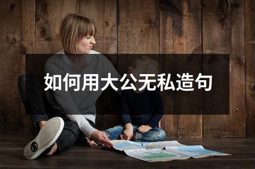 如何用大公无私造句