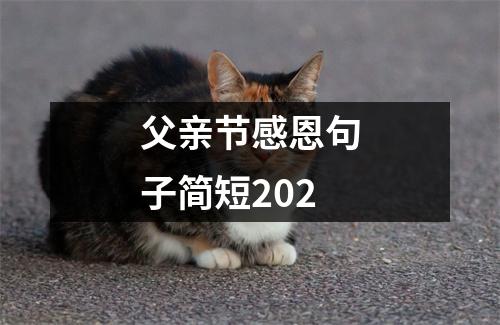 父亲节感恩句子简短202