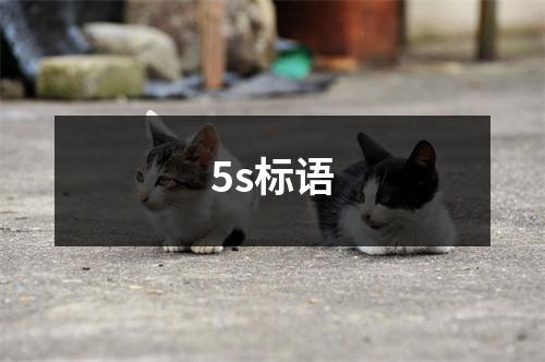 5s标语