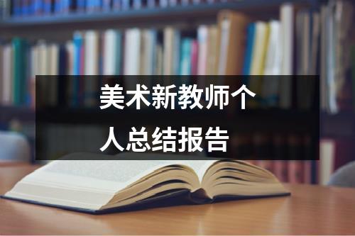 美术新教师个人总结报告