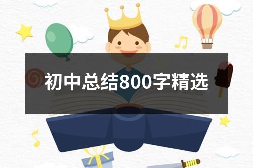 初中总结800字精选