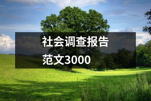 社会调查报告范文3000