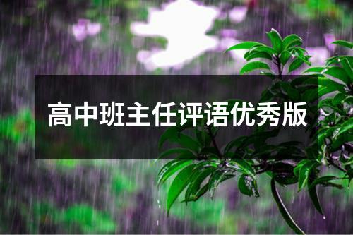 高中班主任评语优秀版