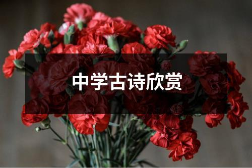 中学古诗欣赏