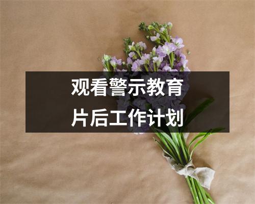 观看警示教育片后工作计划