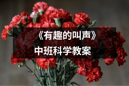 《有趣的叫声》中班科学教案