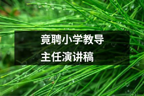 竟聘小学教导主任演讲稿